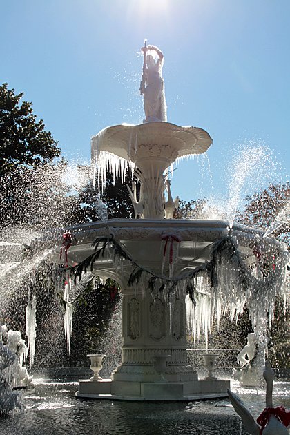 Savannah-Winter-2010.jpg