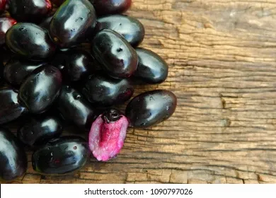 jambolan-plumjava-plumjambull-syzygium-cuminion-260nw-1090797026.webp