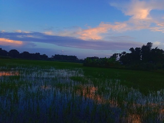 IMG_20250626_202809.jpg