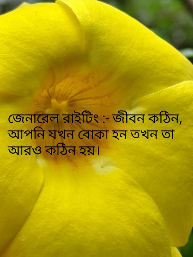IMG_20250820_222628.jpg