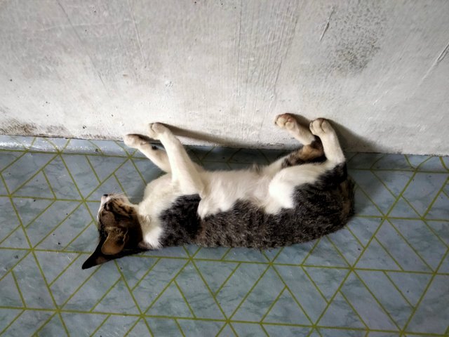 IMG20250722153656.jpg