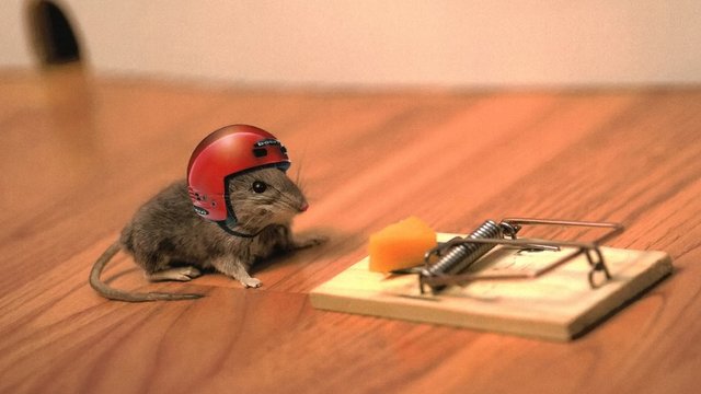 mouse-trap-helmet-blurry-background.jpg