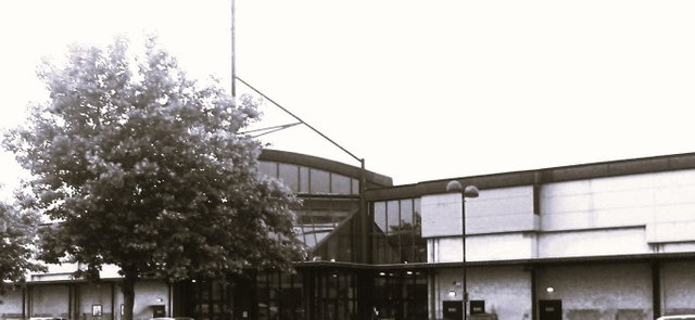 Building Photography B&W, Wide EntryGlass Building , June 2 2017.jpg