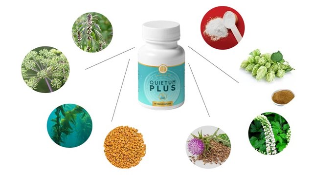 Quietum-Plus-ingredients.jpg