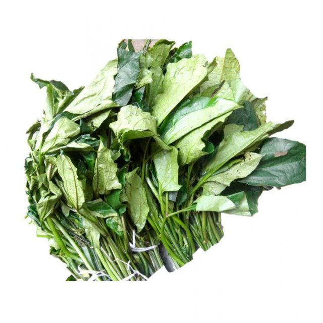 Ugu leaves Applecart 1000_1-1100x1100.jpg