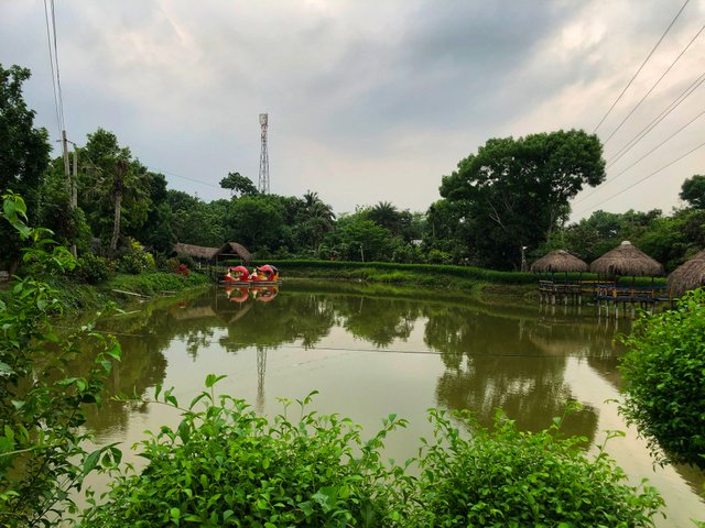 IMG_1854-01.jpeg