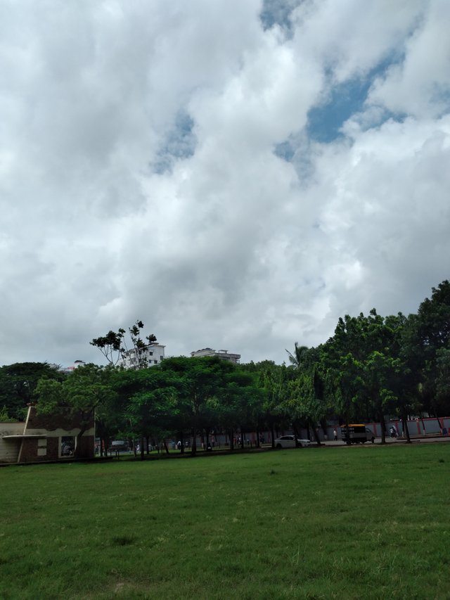 20250626_105439.jpg