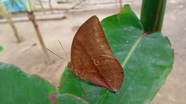 IMG20250520151947.jpg