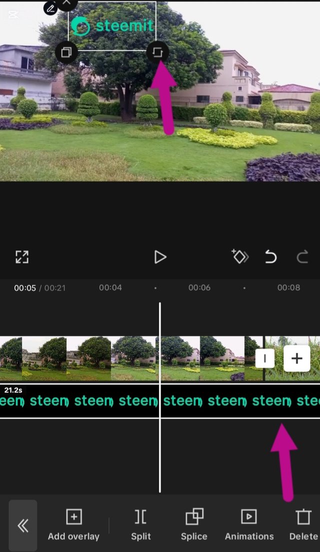 1000108398.jpg