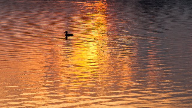 9458773720-sunrise-over-lake-seeburg (FILEminimizer).jpg