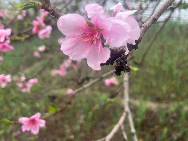 IMG_3175.jpeg