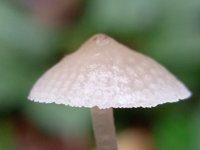 IMG_20211221_084548.jpg