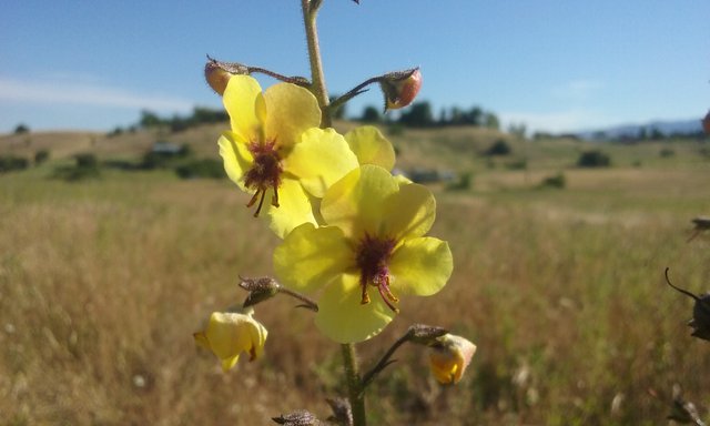 20180625_090836.jpg