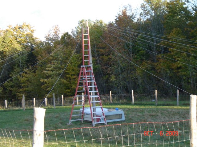 Wayne's Circus tent1 Oct. 09.jpg