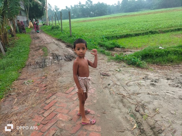 IMG20250531063629.jpg