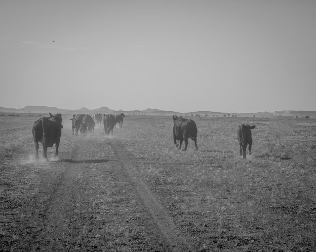 20250524_100756.jpg