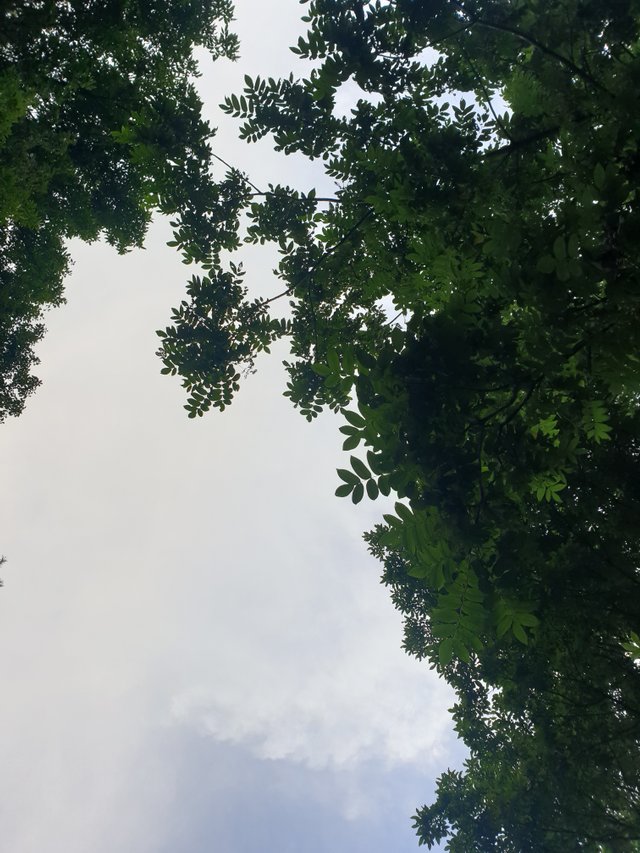 20250730_190010.jpg