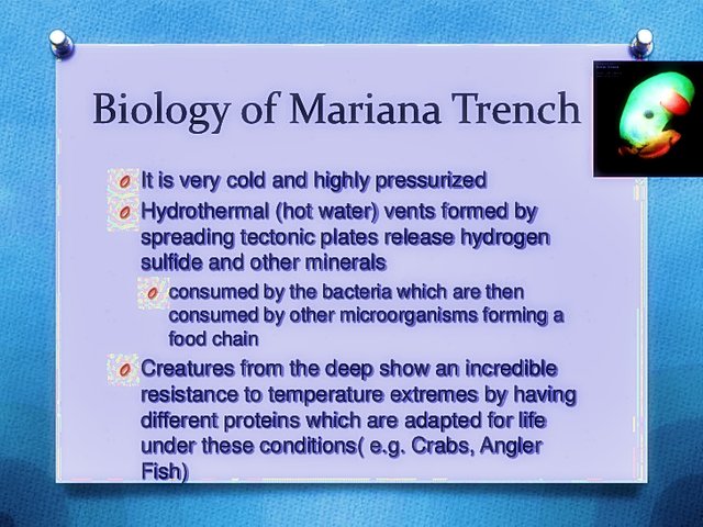 mariana-trench-15-728.jpg