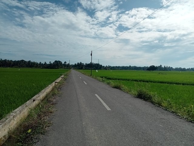 IMG20250905091251.jpg