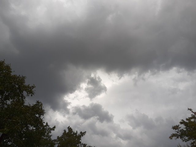 20250831_170003.jpg