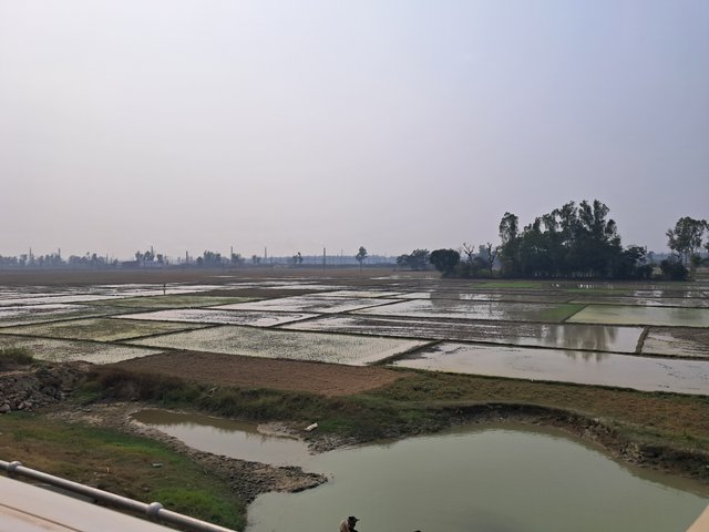 20240206_133327.jpg