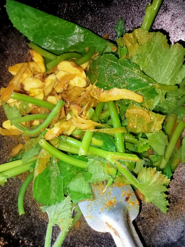 IMG20250629141156.jpg
