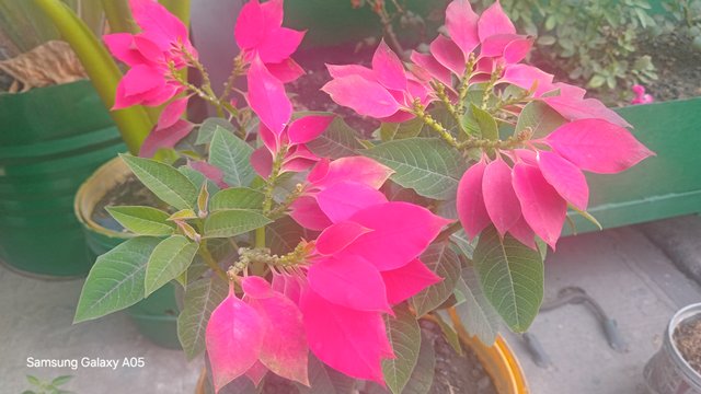 20250312_095955.jpg