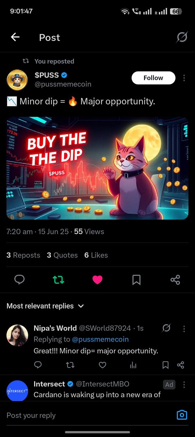 1000047371.jpg