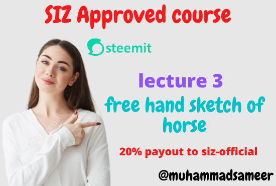 SIZ Approved course.png