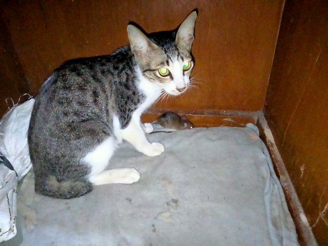 IMG20250825221114.jpg
