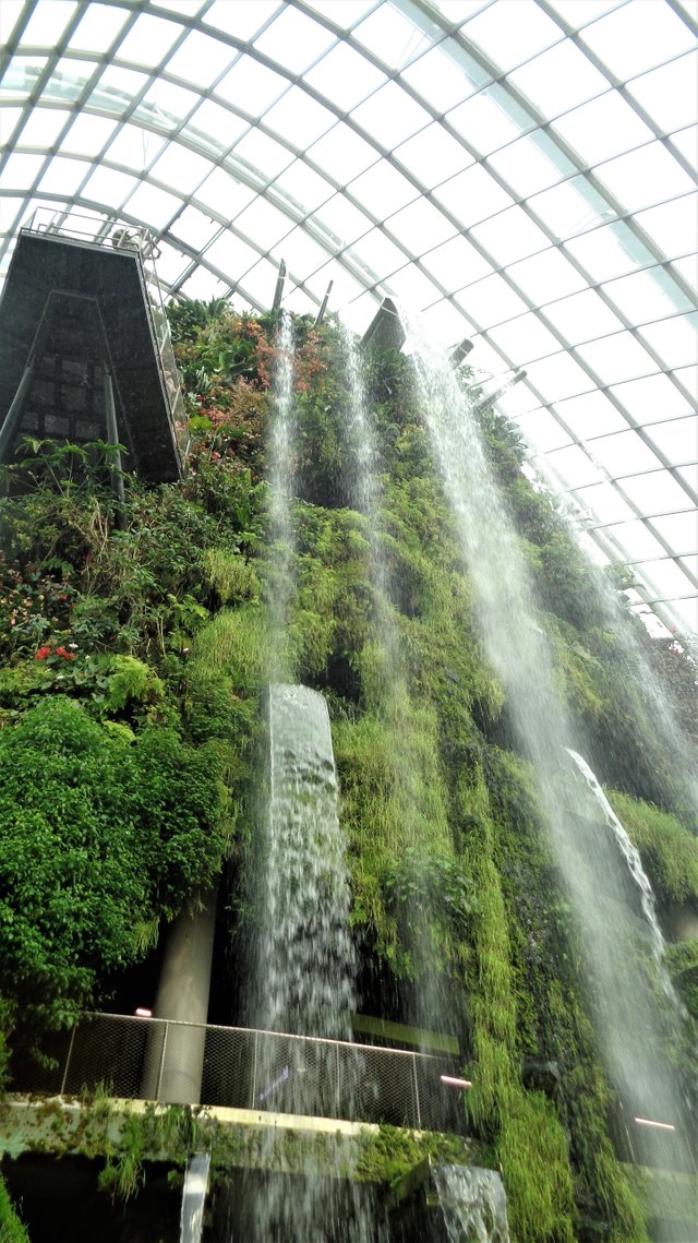 If You Would Like To Observe Tallest Man Made Indoor Waterfall Go