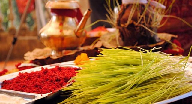 Dashain-Tika-Jamara.jpg