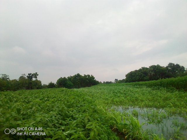 IMG_20210616_140831.jpg
