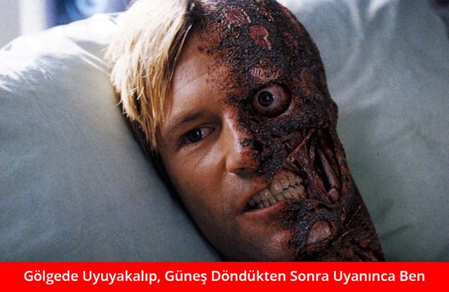 Two_Face_6711.jpg