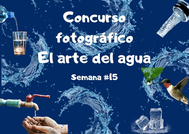 Concurso fotográfico semana #4.jpg