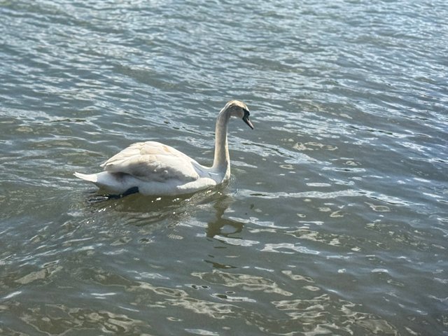IMG_7505.jpeg