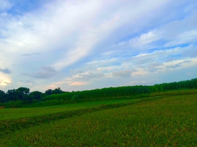 IMG_20250624_195141.jpg