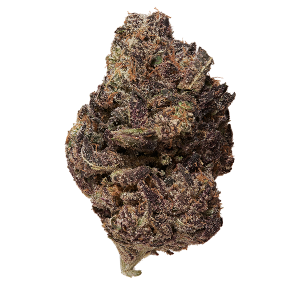 A-Distribution-Company-Sunset-Sherbert-solo-bud-shot-floating-effect-copy-300x300.png