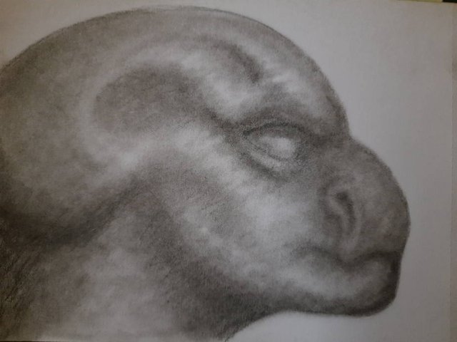 20250921_093234.jpg
