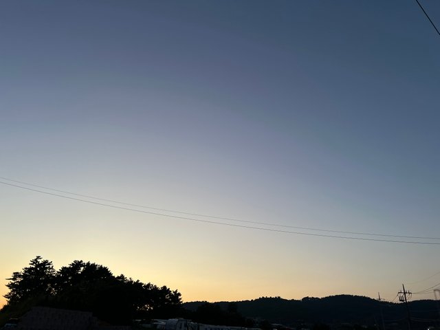 IMG_3176.jpeg