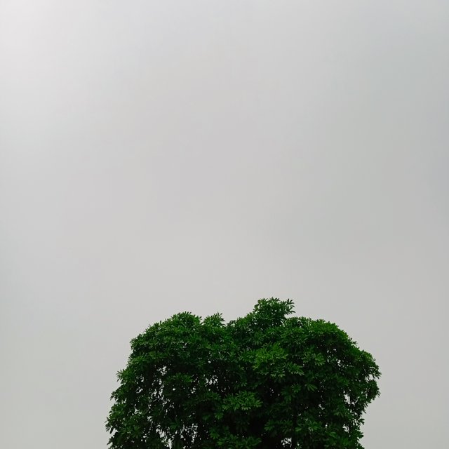 1000017917.jpg