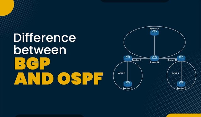 BGP-vs-OSPF.jpeg