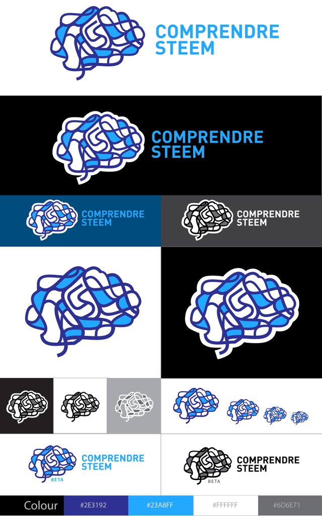 Master Design COMPRENDRE STEEM Logo-1.jpg