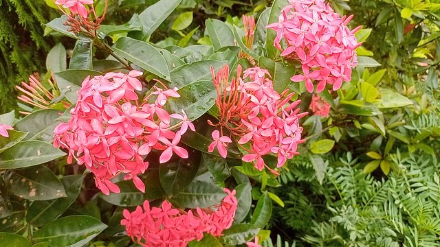 IMG20250820084313.jpg