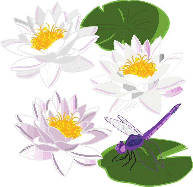 water-lily-4314053_1280.png