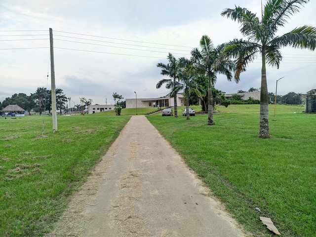 1001102934.jpg