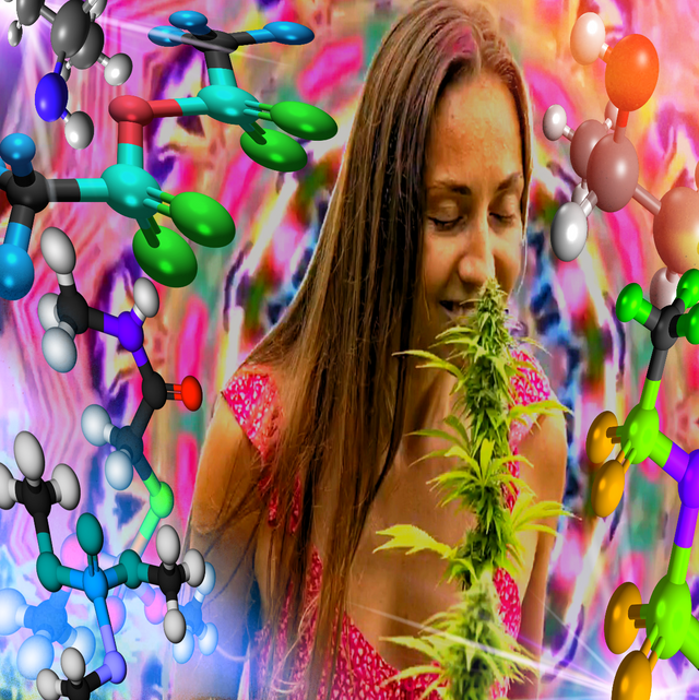 weed girl 01.PNG