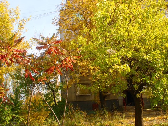 DSC03096.JPG
