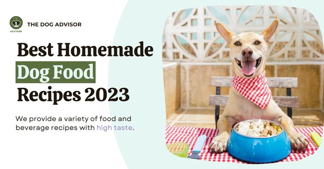 Best Homemade Dog Food Recipes 2023.jpg