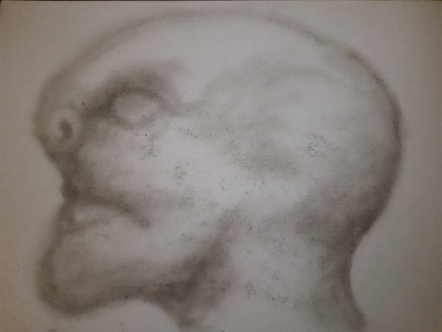 20250823_110504.jpg